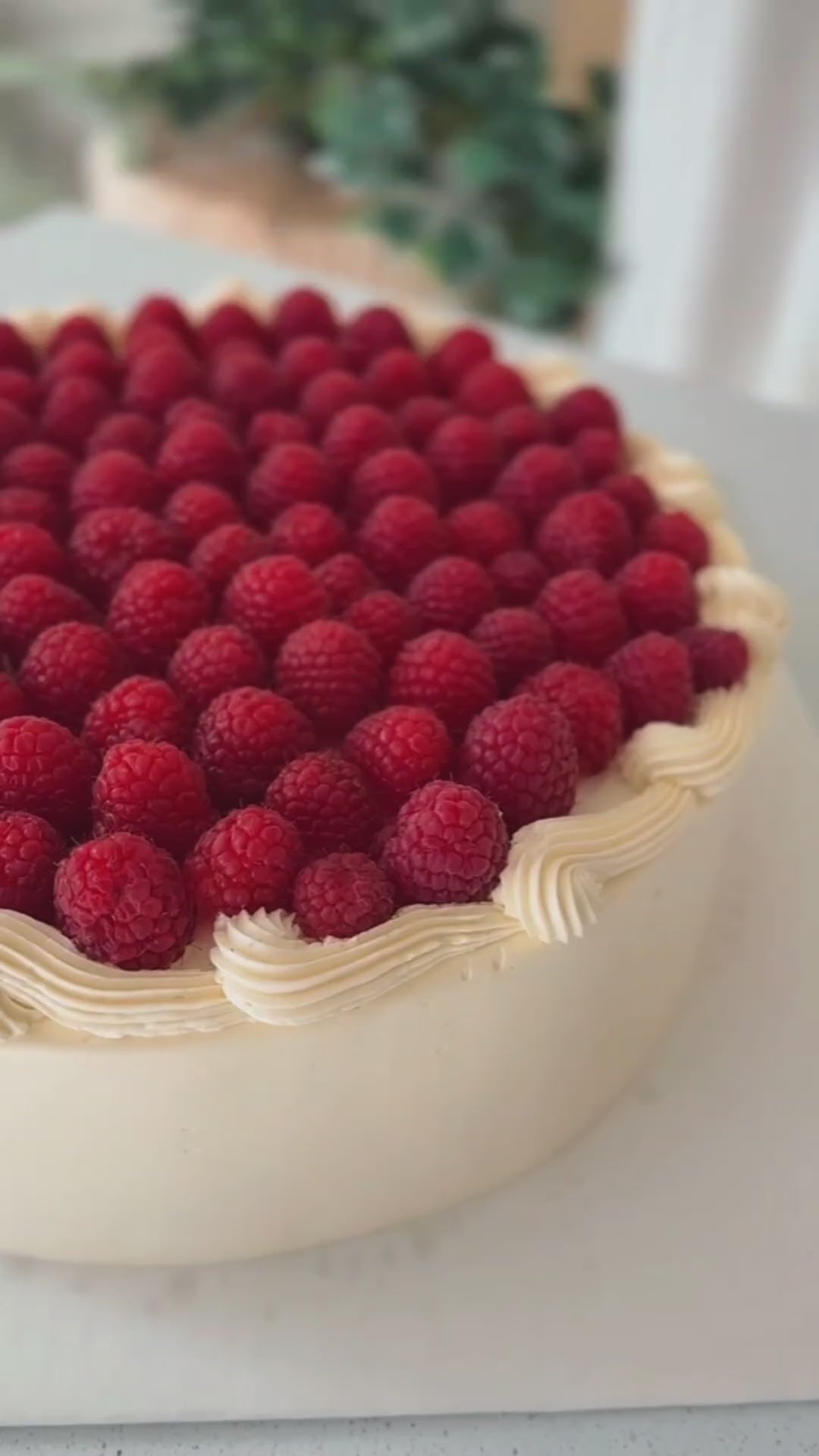 Butter Cream Cake - Table Cake