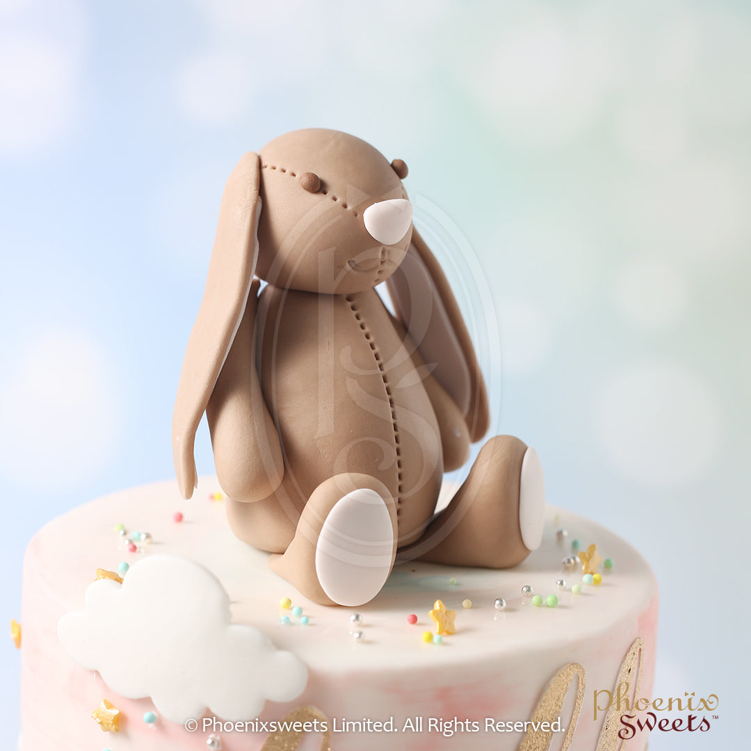 Phoenix Sweets Gender Reveal Cake Hello Baby Hong Kong 性別揭曉蛋糕 香港